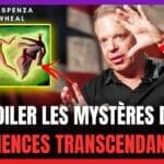 Dévoiler Les Mystères Des EXPÉRIENCES TRANSCENDANTALES - Dr Joe Dispenza et Jamie Wheel